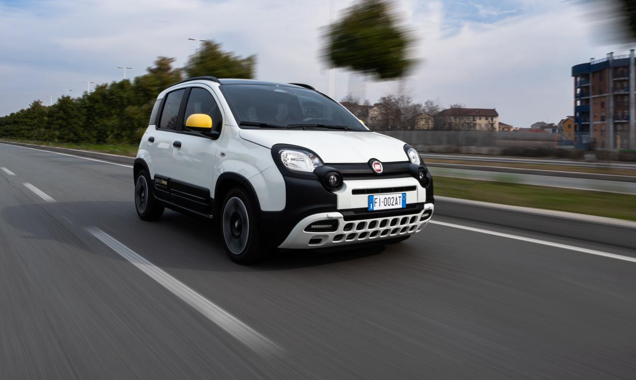 Fiat_1.jpg Fiat Panda Pandina Front/Seite in Fahrt