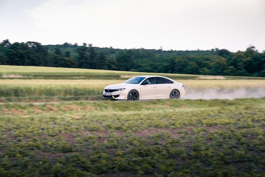 _DSF4842.jpg Peugeot 508 PSE in Bewegung