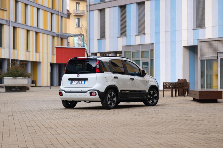 Fiat_2.jpg Fiat Panda Pandina Heck/Seite