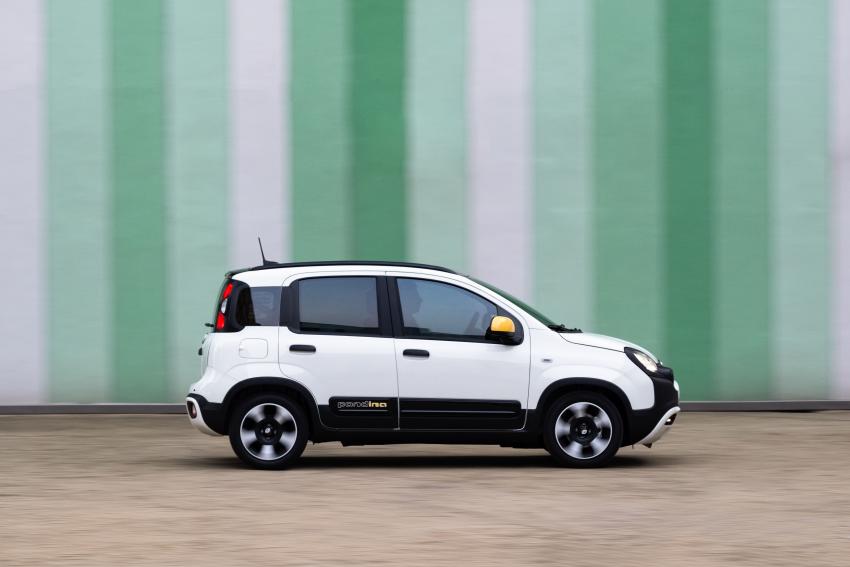 Fiat_3.jpg Fiat Panda Pandina Seite