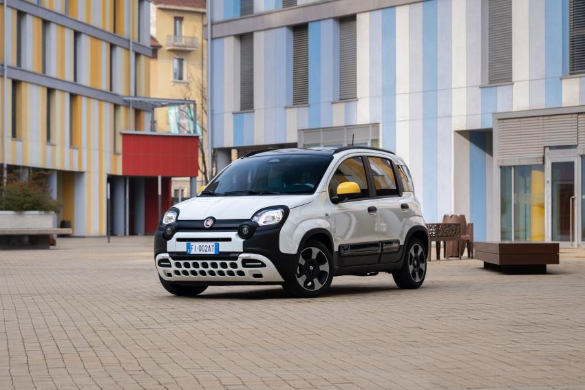Fiat_4.jpg Fiat Panda Pandina Front/Seite