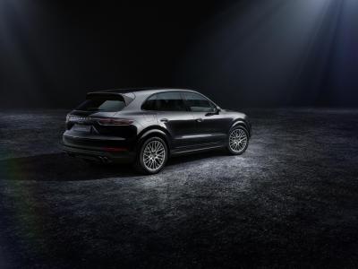 Porsche Cayenne Platinum Edition Heck