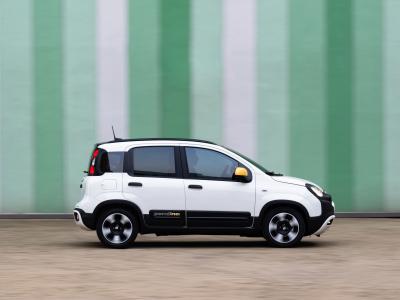 Fiat Panda Pandina Seite