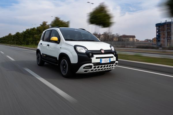 Fiat Panda Pandina Front/Seite in Fahrt